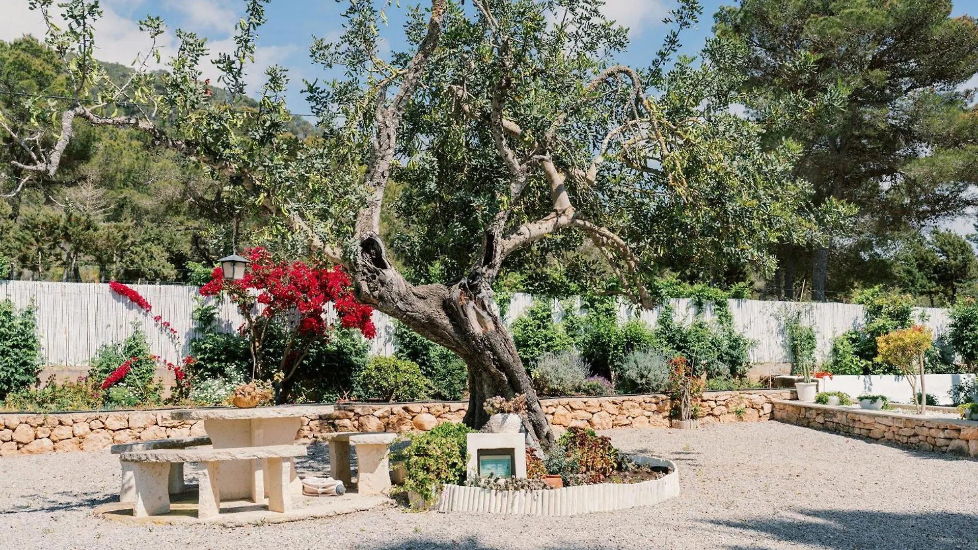Villa Can Pep Gibert Ibiza Town